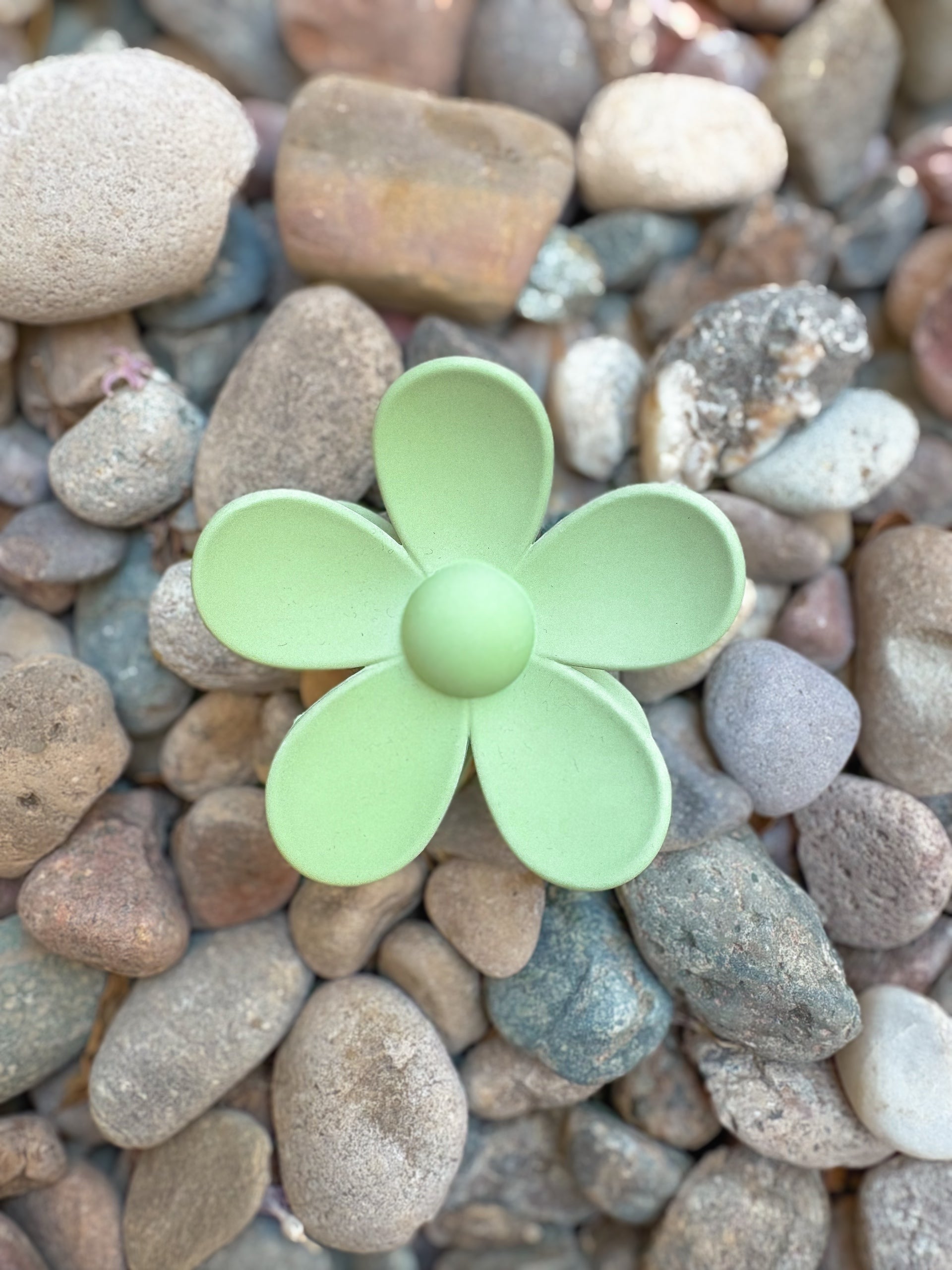 Daisy Clip