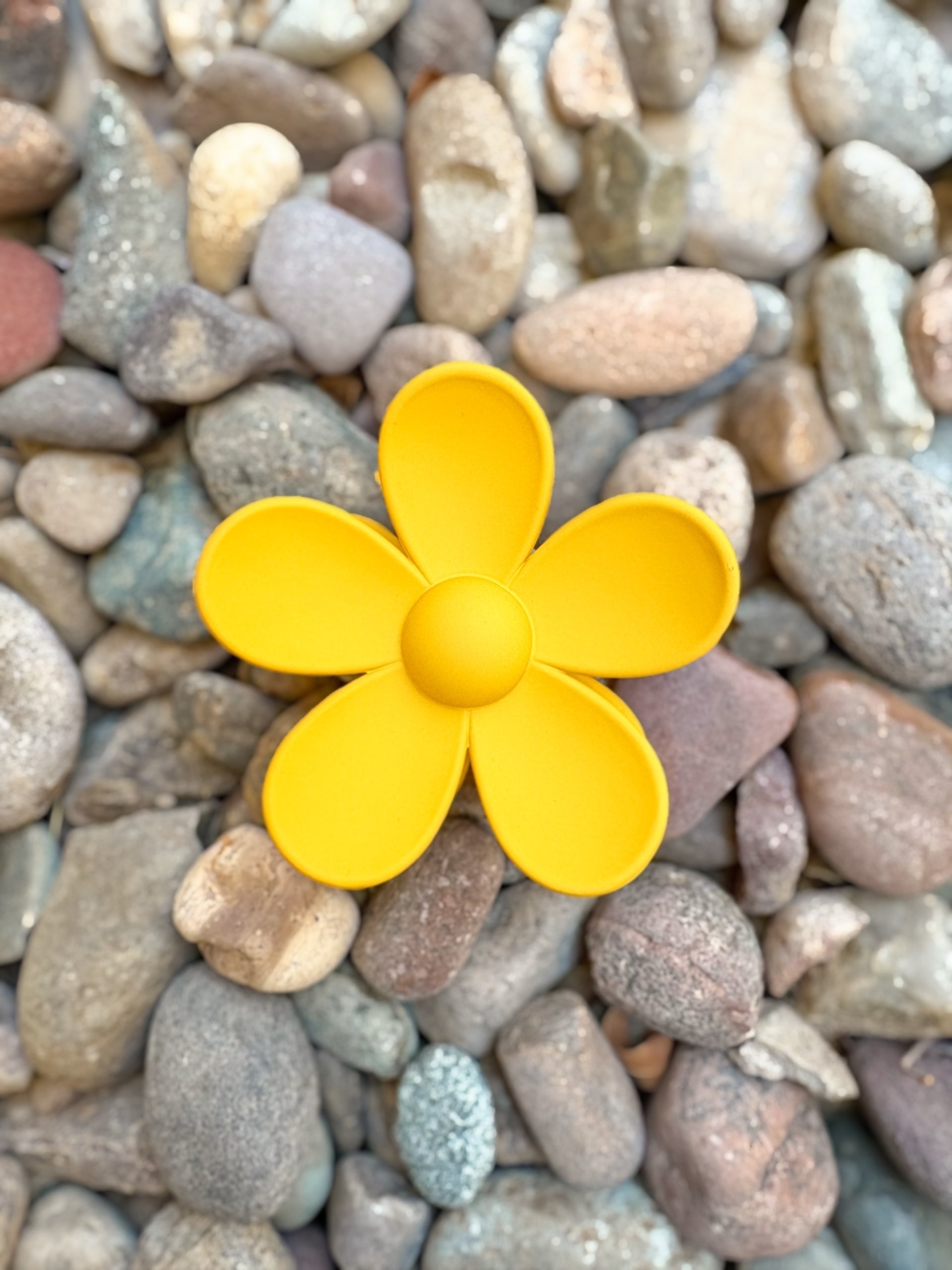 Daisy Clip