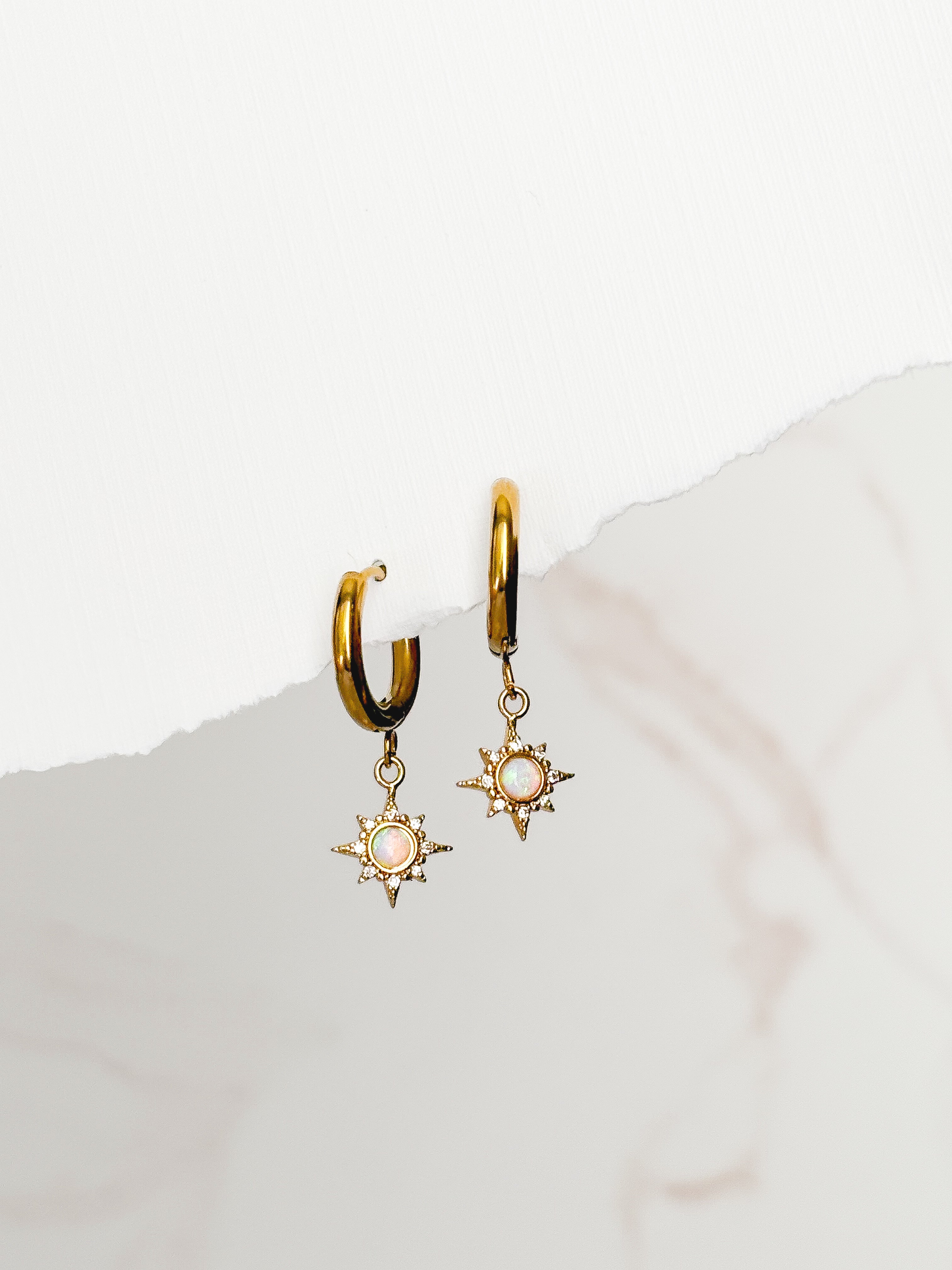 Sunspell Earrings