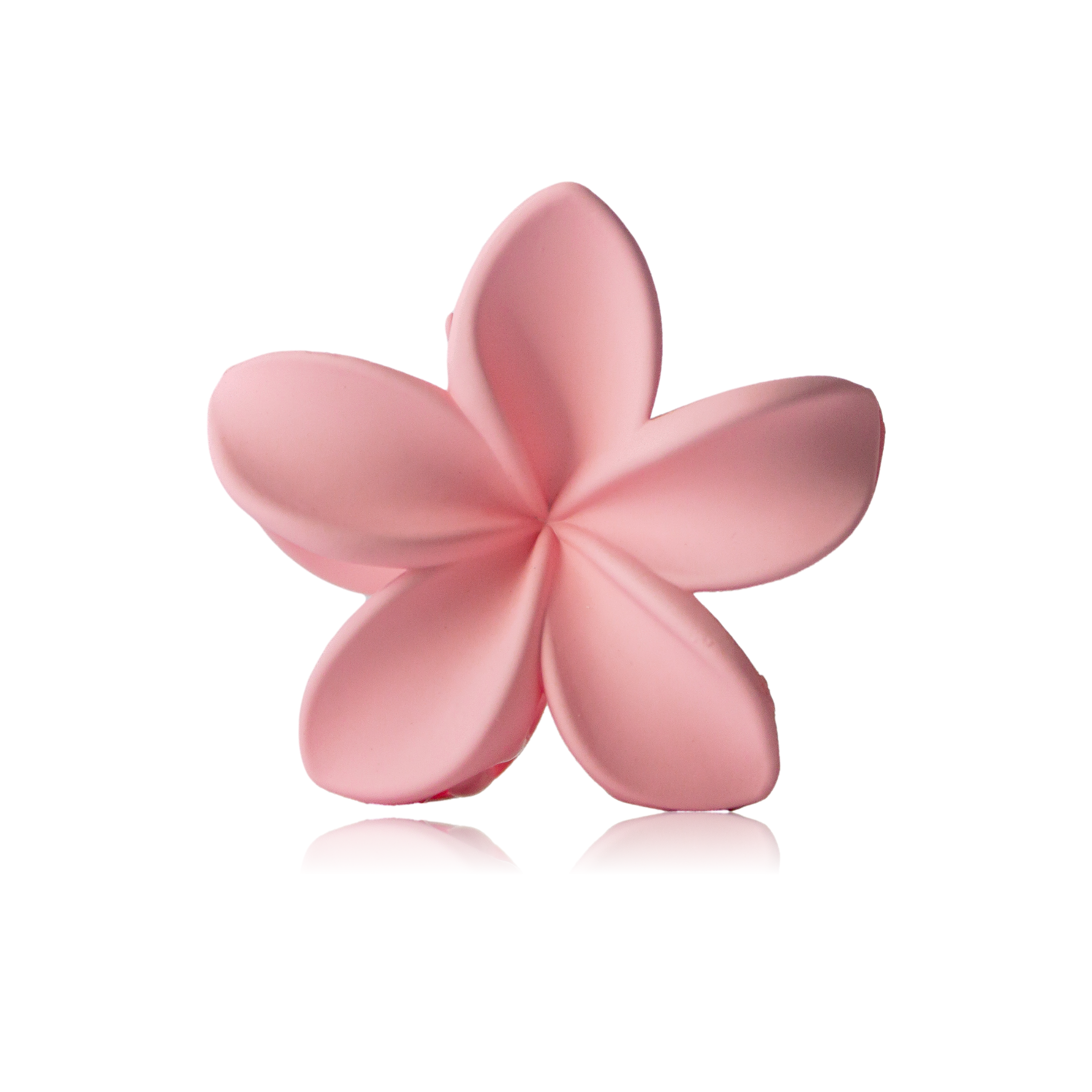 Hibiscus Honey Clip