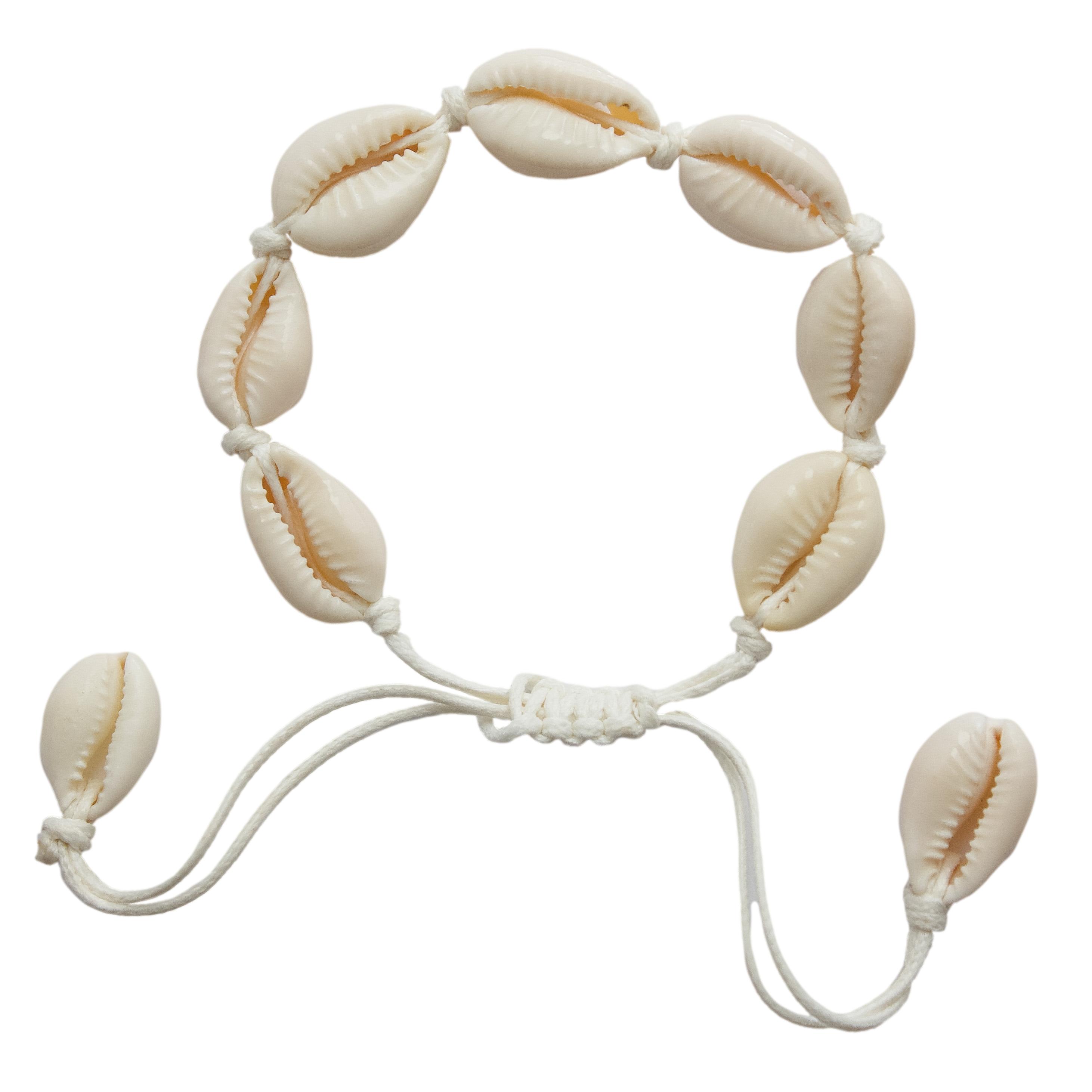 Shell Pop Bracelet