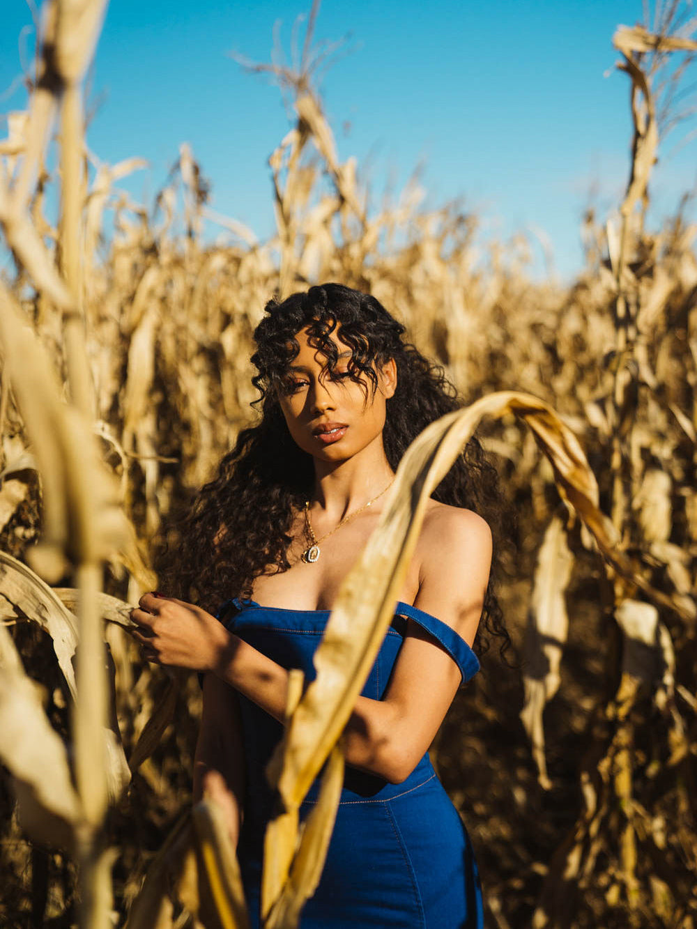 Blue Jean Baby Midi Dress