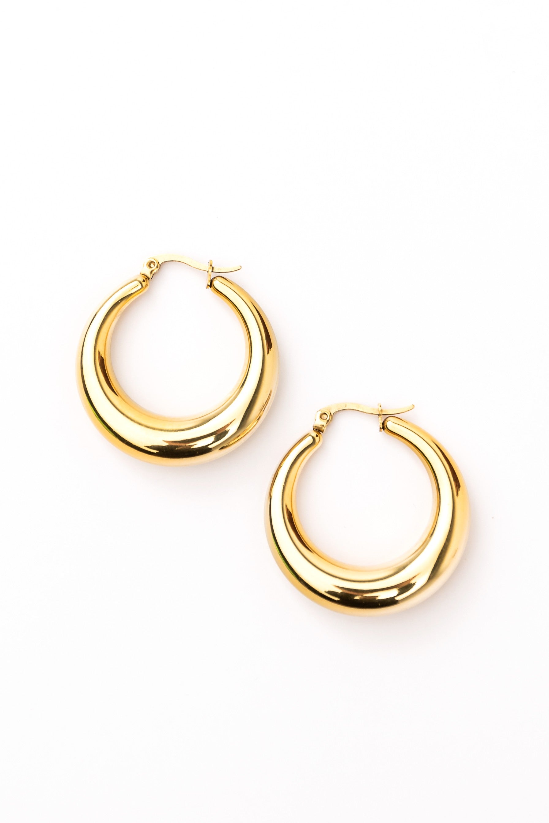 Gloss Loop Earrings
