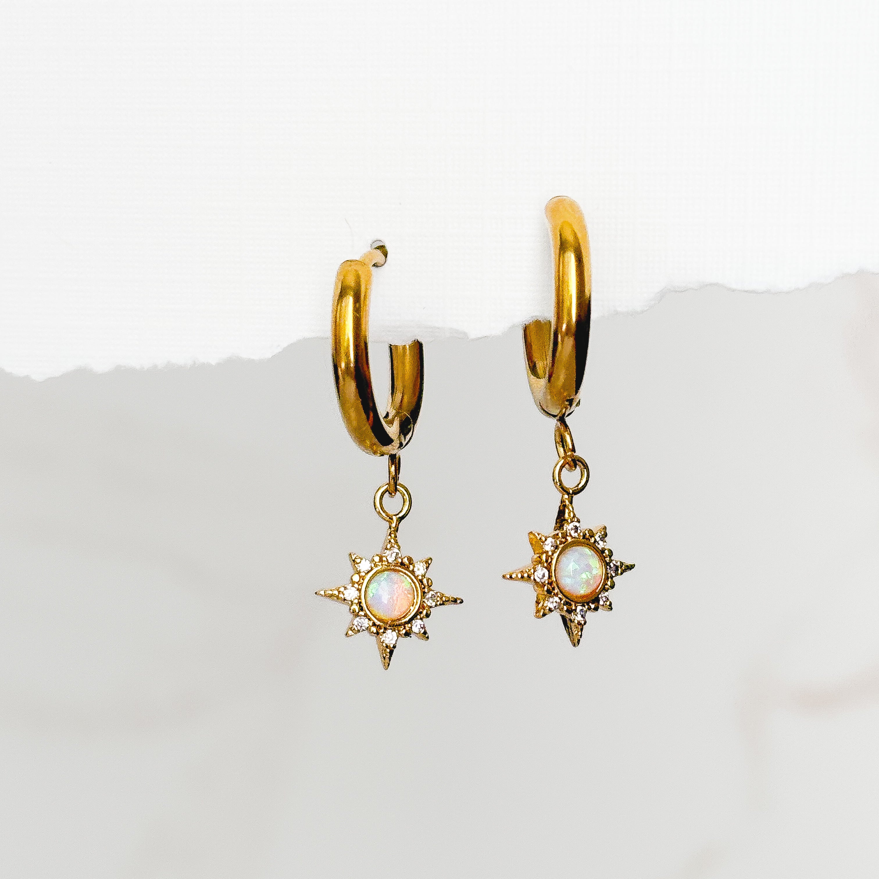 Sunspell Earrings