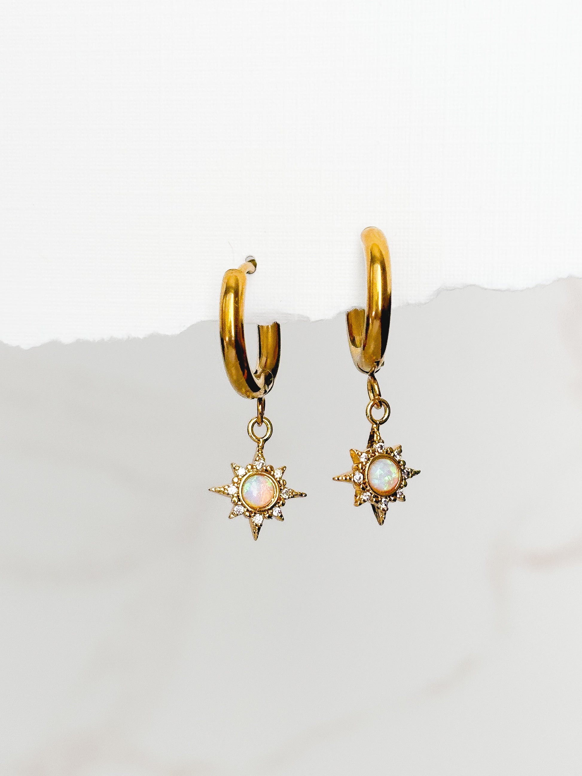 Sunspell Earrings