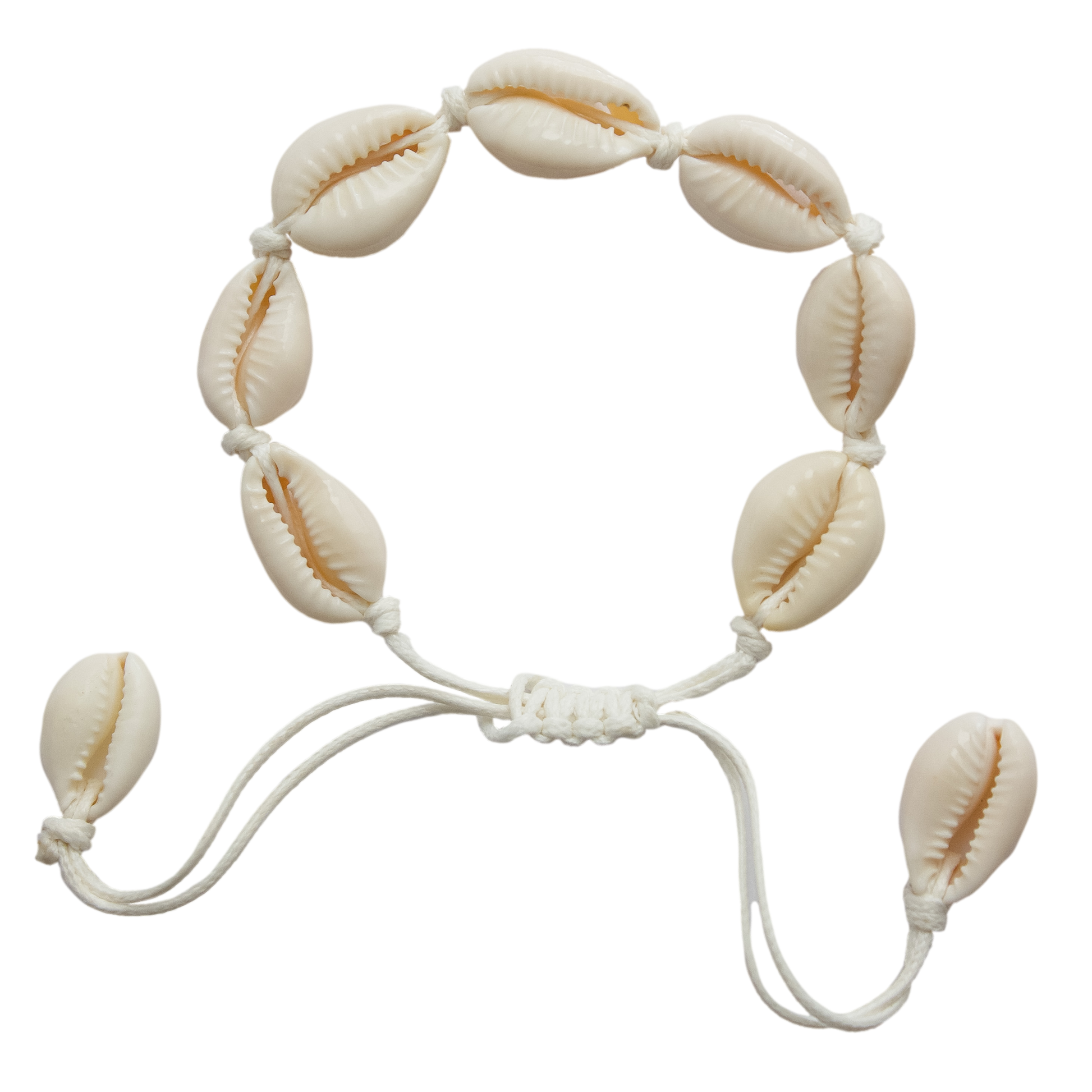 Shell Pop Bracelet